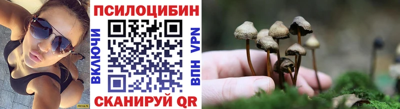 Галлюциногенные грибы Magic Shrooms  Новороссийск 